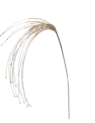 CIUFFO CON PERLINE ORO CM90 (BRUCO)